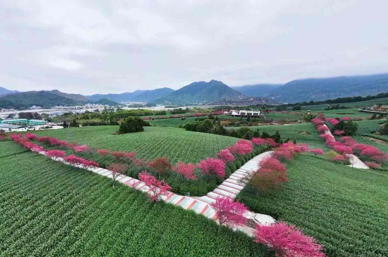 风景风采